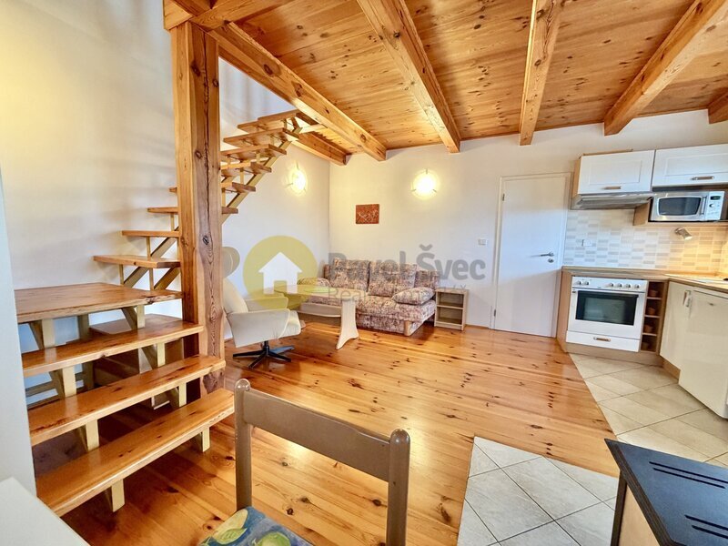 Dům k rekreaci/bydlení, 2+kk, 56 m2, terasa, pozemky 433 m2, Řepice-Strakonice