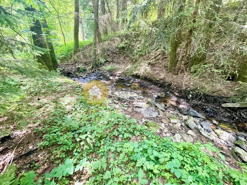 Pronájem chaty u potoka - Smiradice, Strakonice
