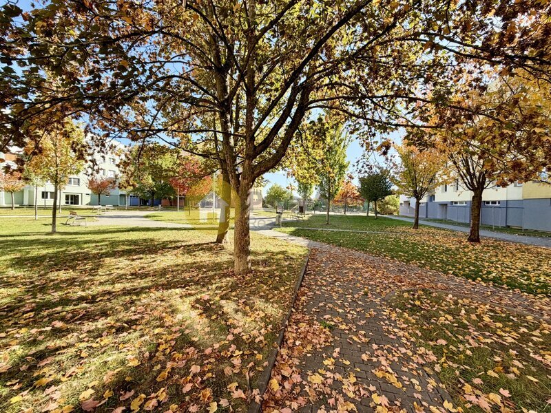 Pronájem 2+kk, 41 m2, balkon/sklep, sídliště Mír, Strakonice